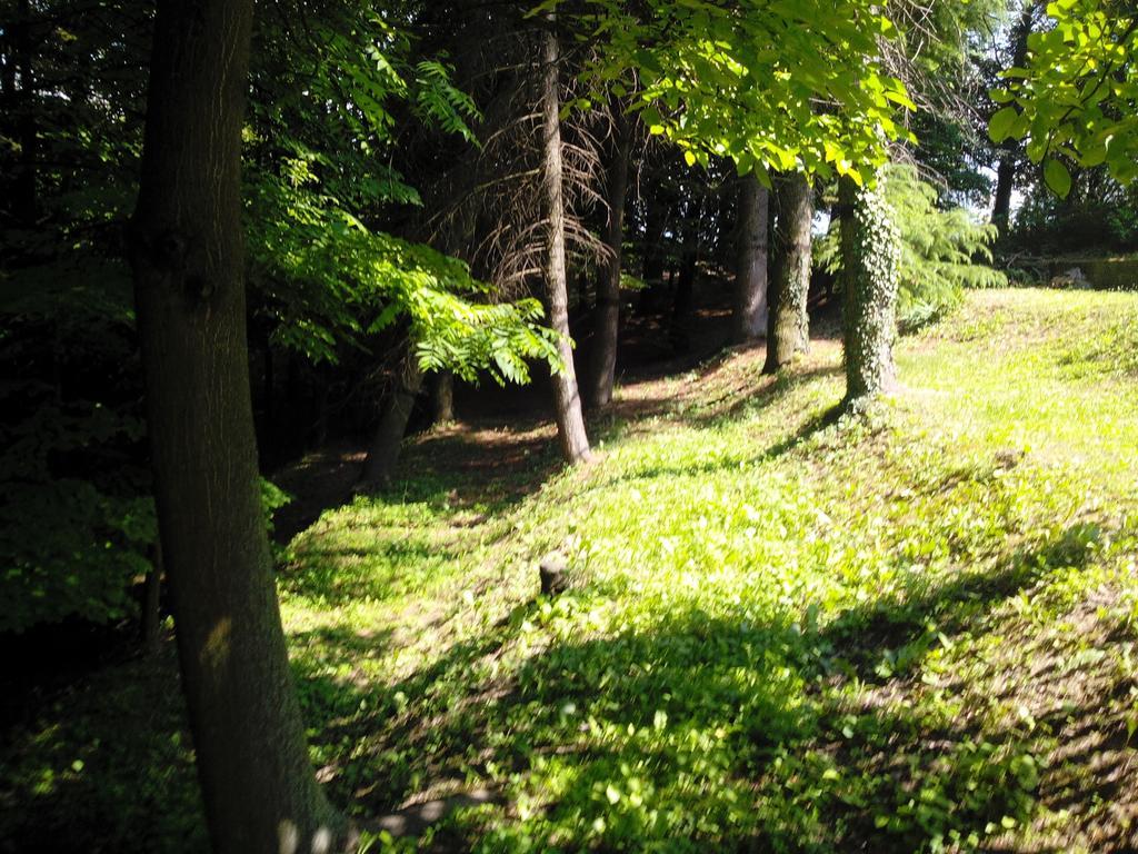 Casa Badinot Vendégház Diano dʼAlba Szoba fotó