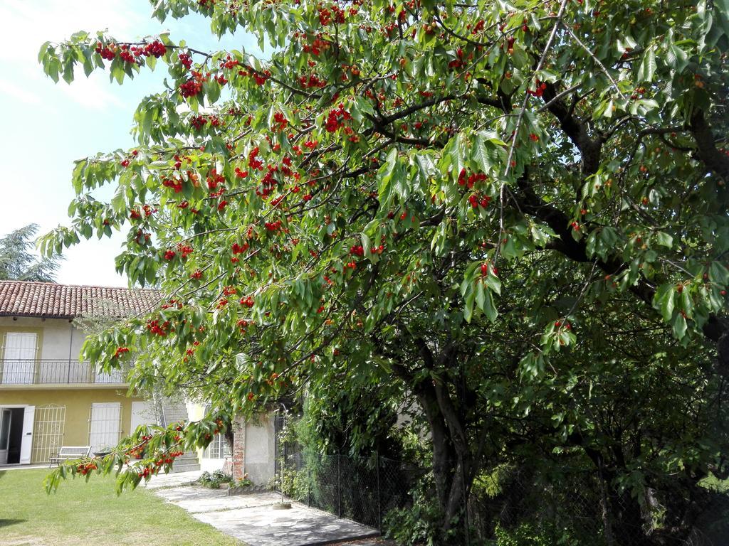Casa Badinot Vendégház Diano dʼAlba Kültér fotó